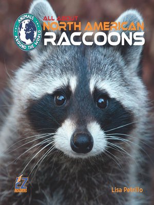 cover image of All About North American Raccoons